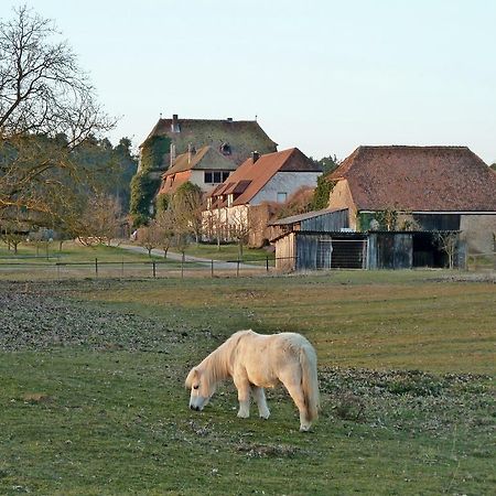 Elgersheimer Hof Volkach Dış mekan fotoğraf