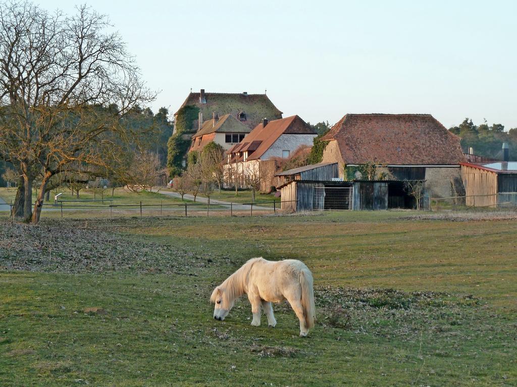 Elgersheimer Hof Volkach Dış mekan fotoğraf